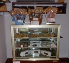 {{brizy_dc_image_alt imageSrc=