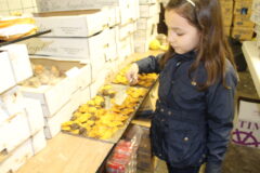 {{brizy_dc_image_alt imageSrc=