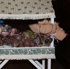 {{brizy_dc_image_alt imageSrc=