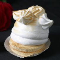 {{brizy_dc_image_alt imageSrc=