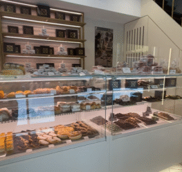 {{brizy_dc_image_alt imageSrc=